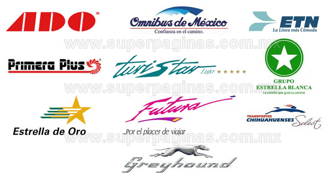 Las Mejores Líneas de Autobuses en México